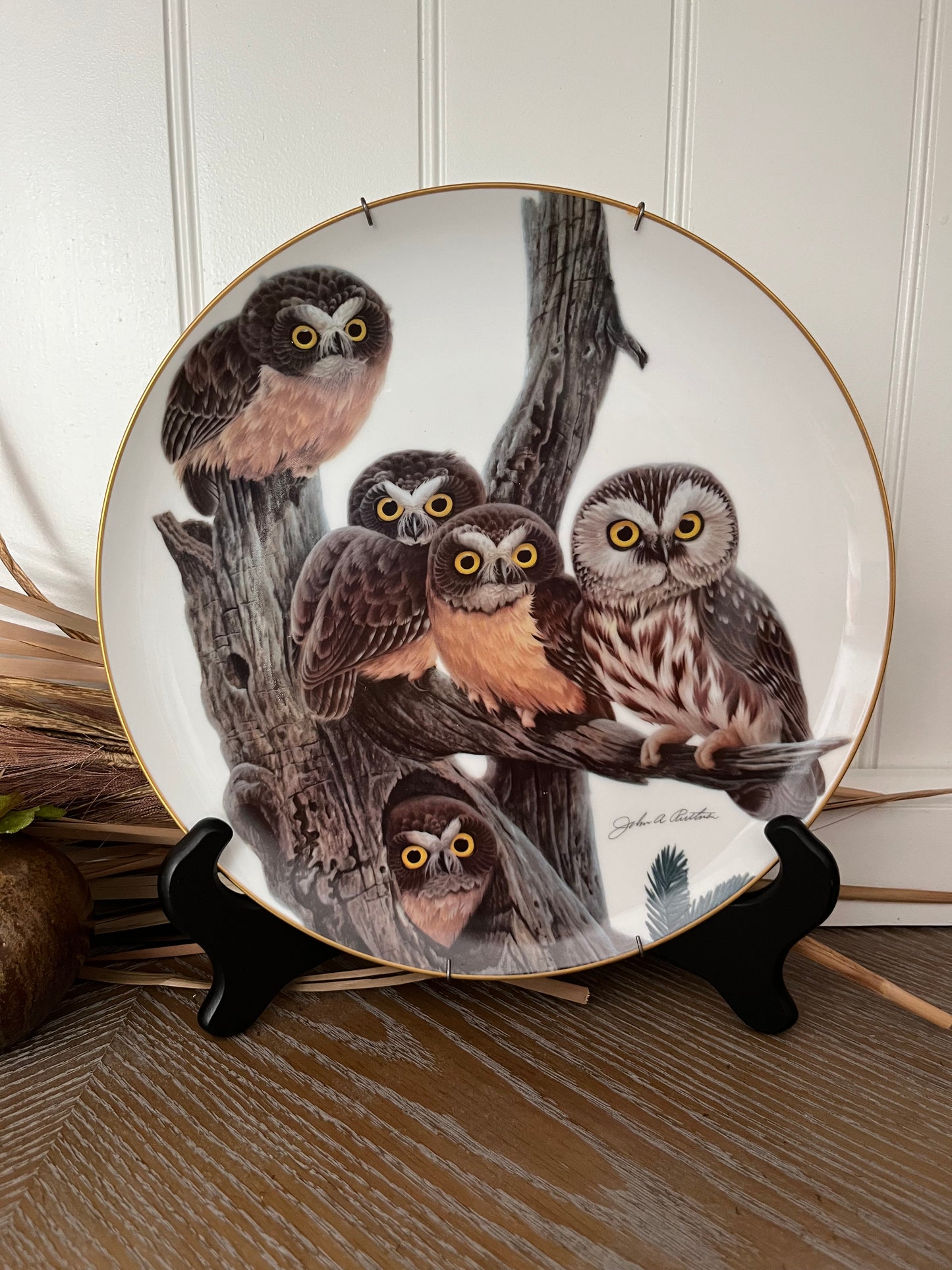 “Saw Whet Owl” Limited Edition Collector Plate by John A. Ruthven (1981, Wildlife International, Ltd.) — No. 1691 / 5000