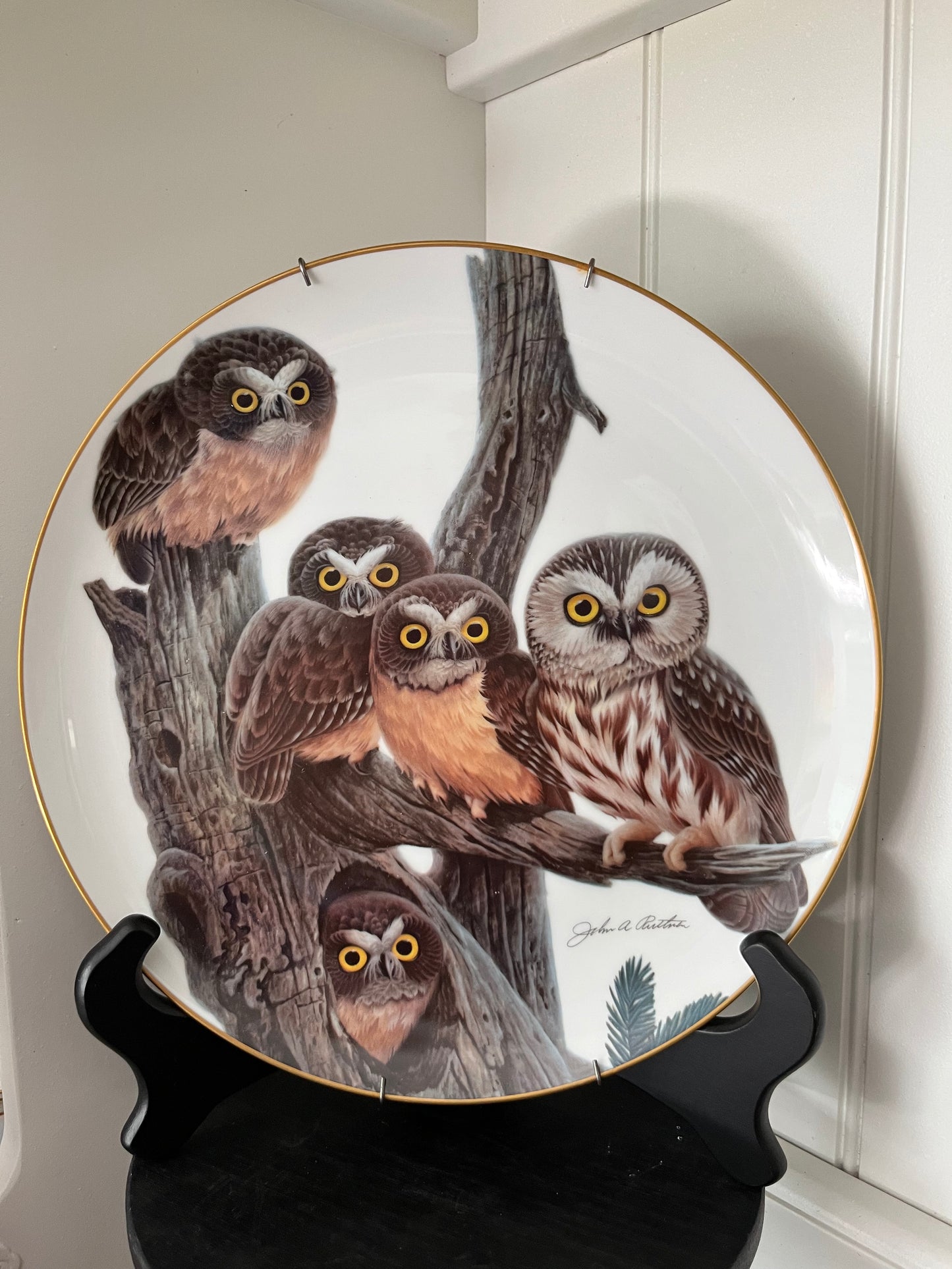 “Saw Whet Owl” Limited Edition Collector Plate by John A. Ruthven (1981, Wildlife International, Ltd.) — No. 1691 / 5000