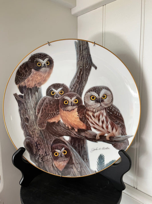 “Saw Whet Owl” Limited Edition Collector Plate by John A. Ruthven (1981, Wildlife International, Ltd.) — No. 1691 / 5000