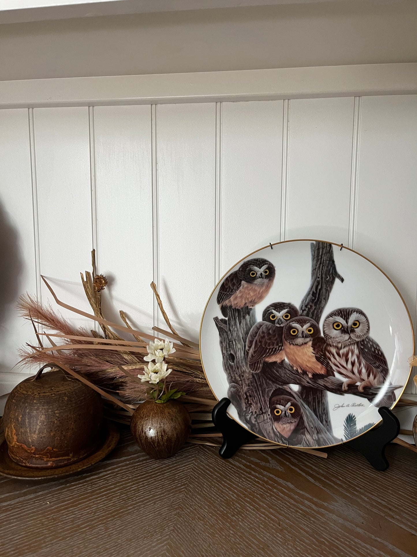 “Saw Whet Owl” Limited Edition Collector Plate by John A. Ruthven (1981, Wildlife International, Ltd.) — No. 1691 / 5000