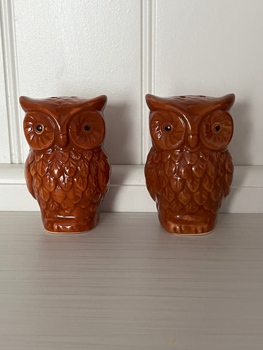 Vintage 1970s Brown Glazed Ceramic Owl Salt & Pepper Shaker Set |