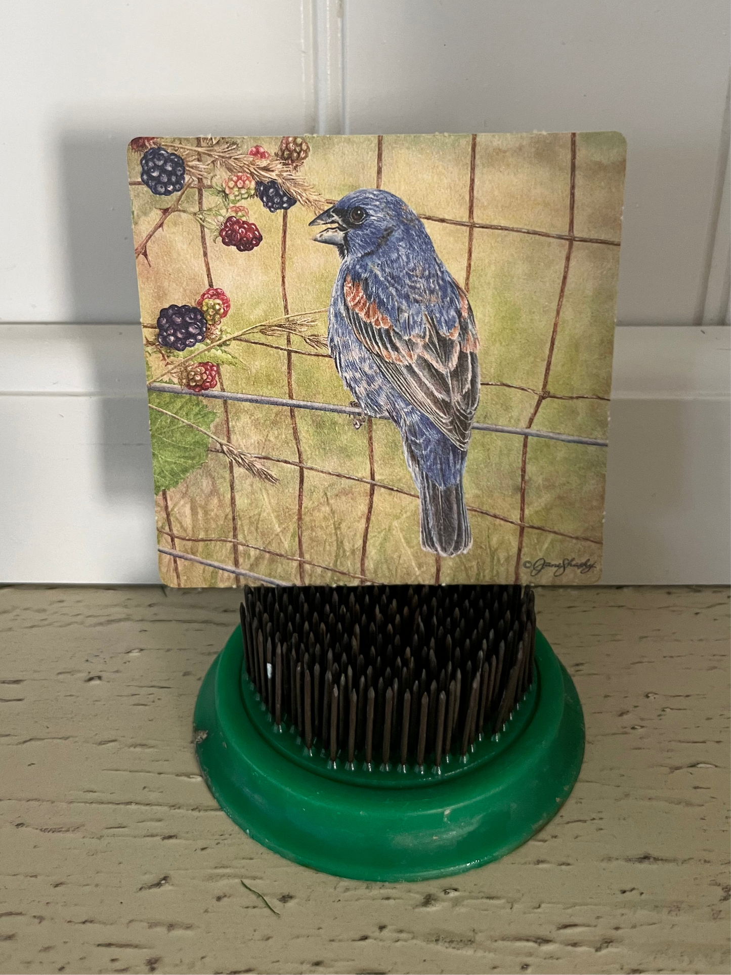 Pair of Vintage Songbird Art Ephemera – Western Tanager & Blue Grosbeak – G.G. Getty, 1990s