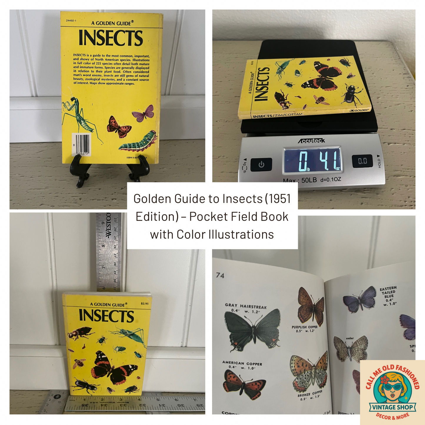 Golden Guide to Insects (1951 Edition) – Pocket Field Book with Color Illustrations