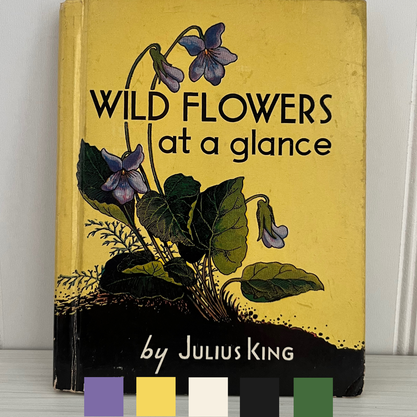 Antique Wildflower Field Guide – “Wild Flowers at a Glance” by Julius King, 1935