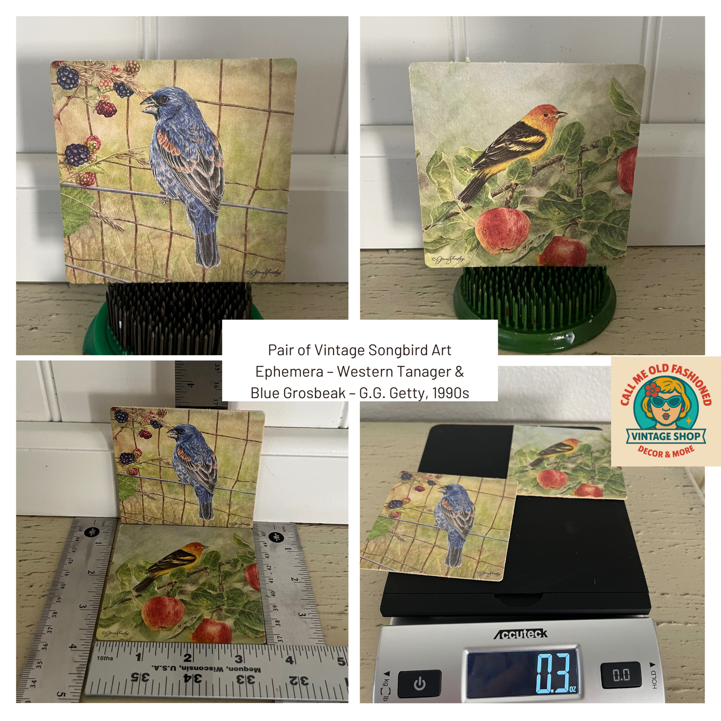 Pair of Vintage Songbird Art Ephemera – Western Tanager & Blue Grosbeak – G.G. Getty, 1990s