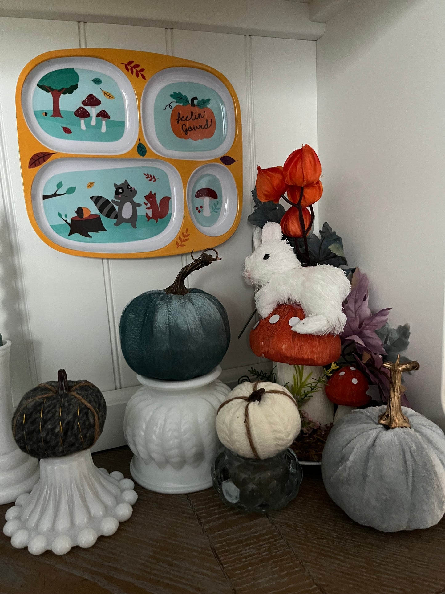 “Feelin’ Gourd!” Fall Woodland Animals Divided Plate – Raccoon & Squirrel Design (c. 2010s)