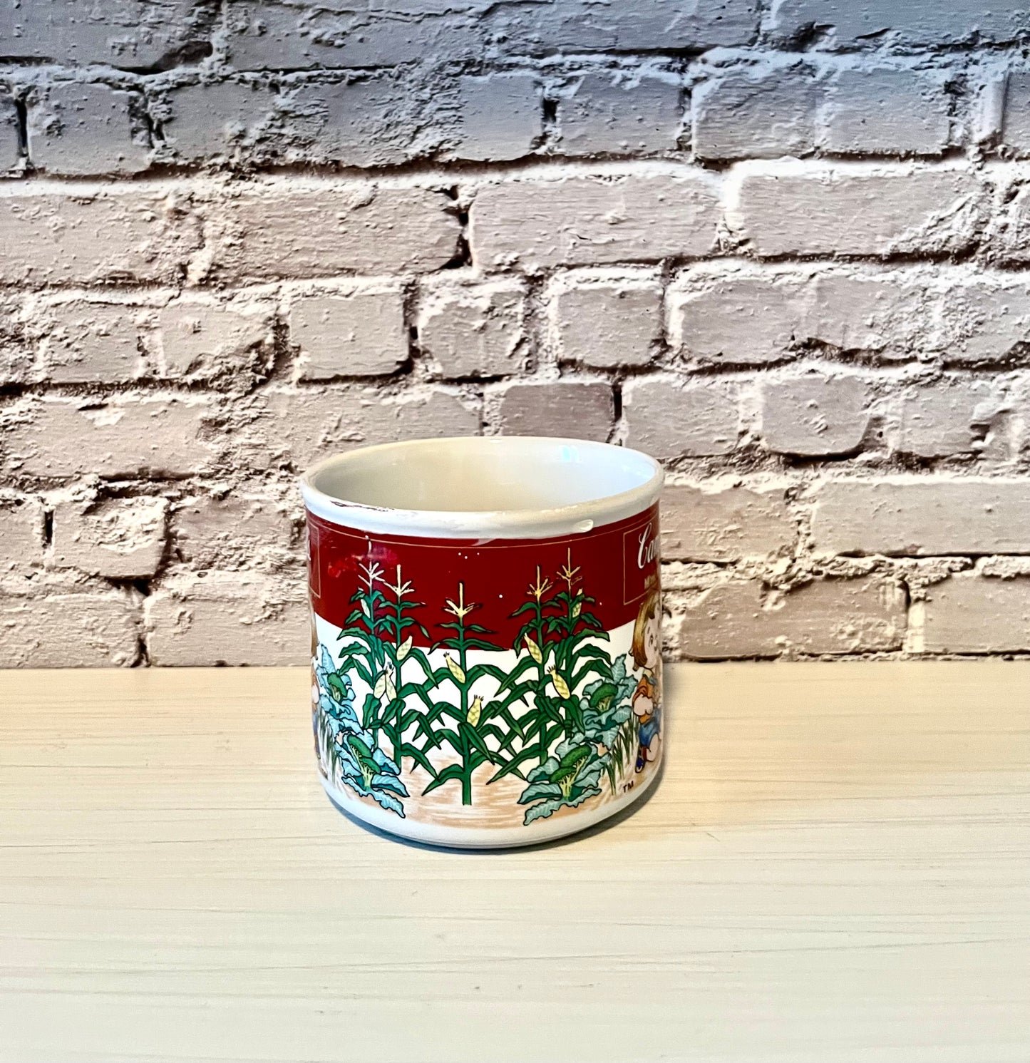 Vintage 1997 Campbell’s Soup Kids Vegetable Garden Ceramic Mug – Westwood Collectible