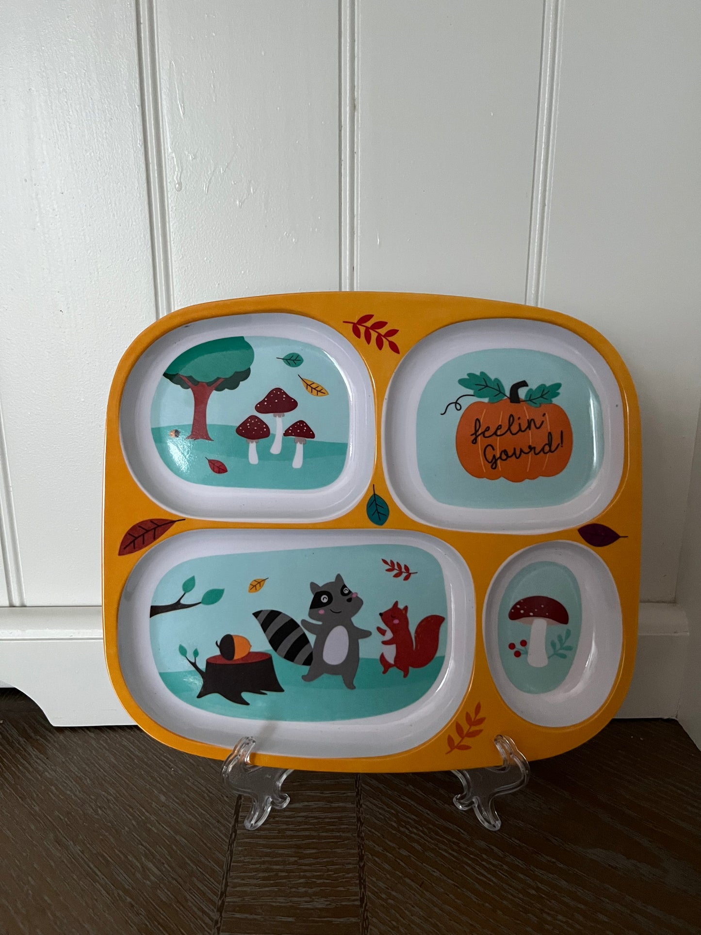 “Feelin’ Gourd!” Fall Woodland Animals Divided Plate – Raccoon & Squirrel Design (c. 2010s)