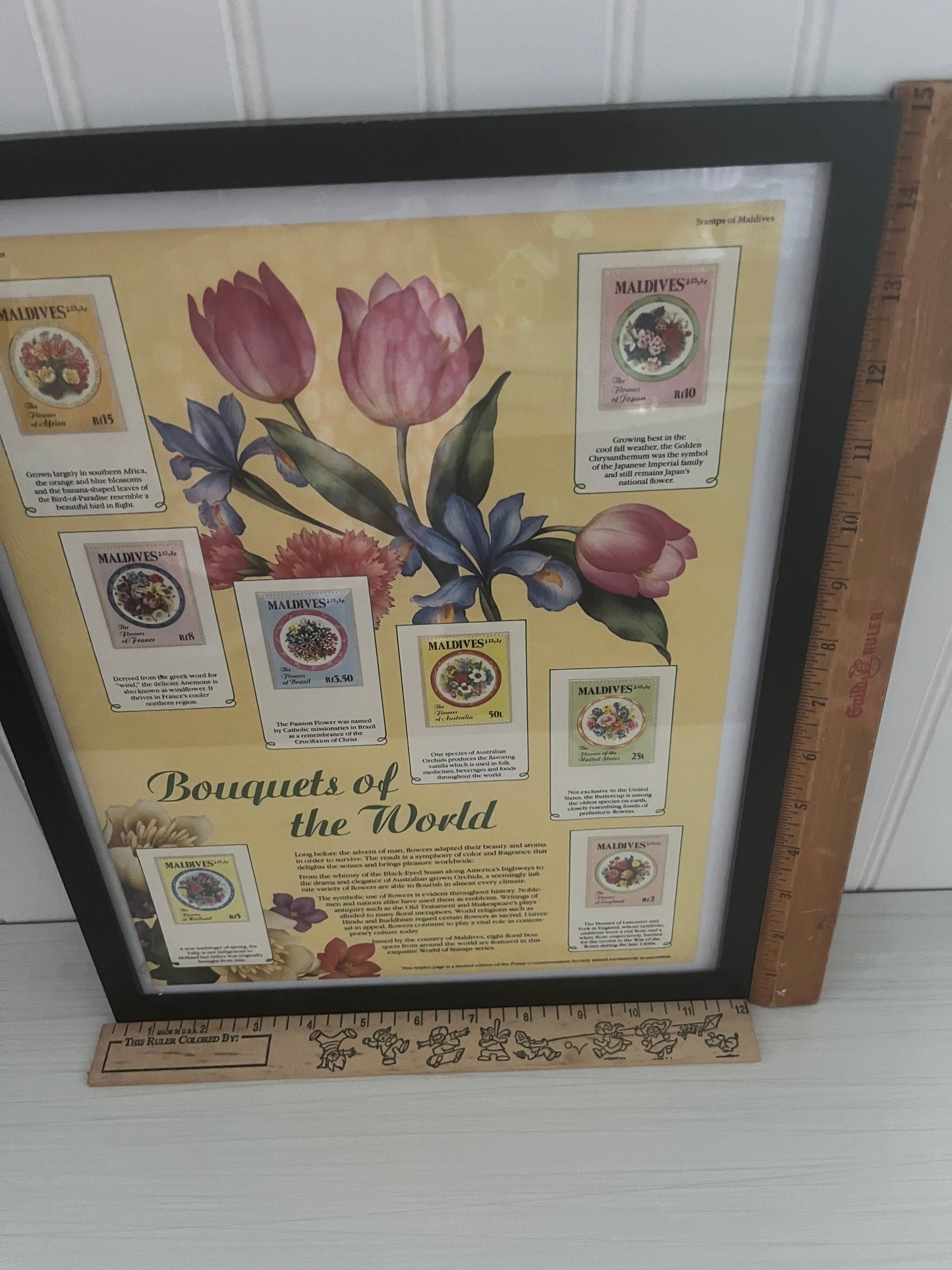 World Of Stamps: Bouquets Of The World Series Collection 
- 8 Stamps Maldives Roses in Black Frame