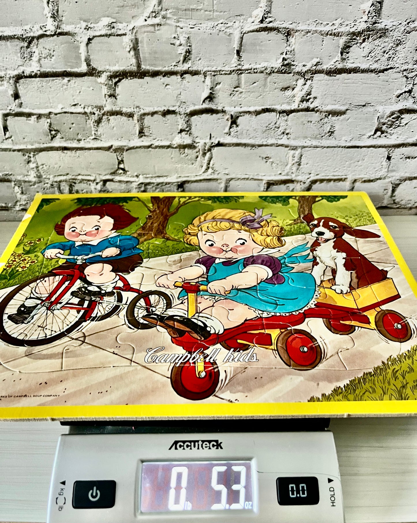 Vintage  1960’s Campbell Kids Bicycle Puzzle Tray Board | Retro Wooden Nursery Puzzle | Campbell Soup Advertising Collectible