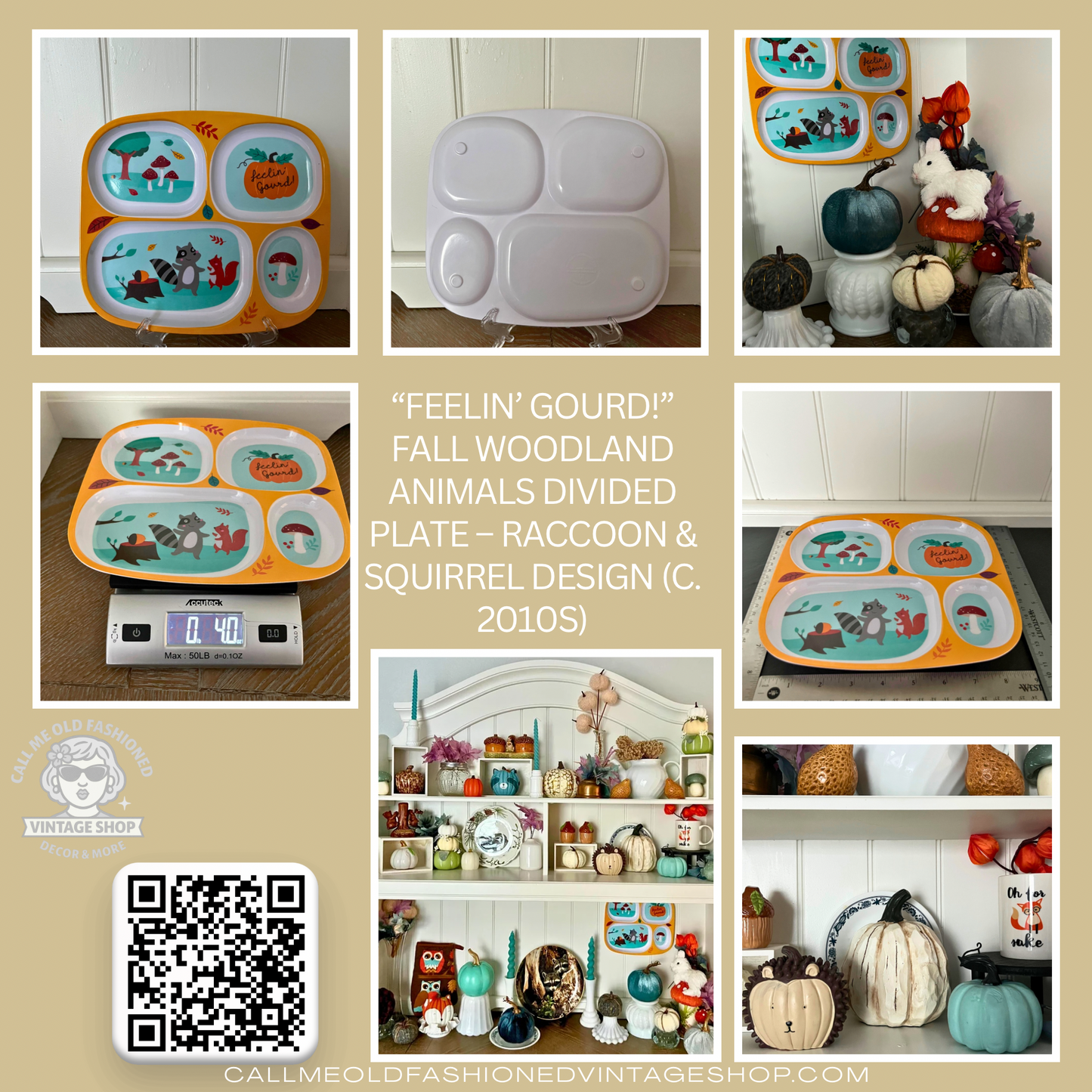 “Feelin’ Gourd!” Fall Woodland Animals Divided Plate – Raccoon & Squirrel Design (c. 2010s)