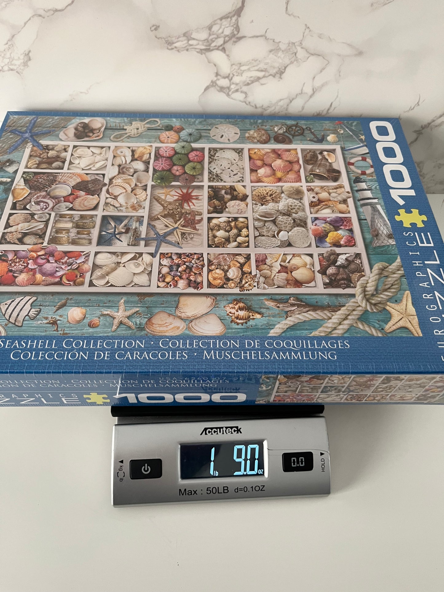 Eurographics Seashell Collection 1000 Piece Puzzle – SEALED – Coastal Nautical Decor Puzzle – 2010s Contemporary Coastal