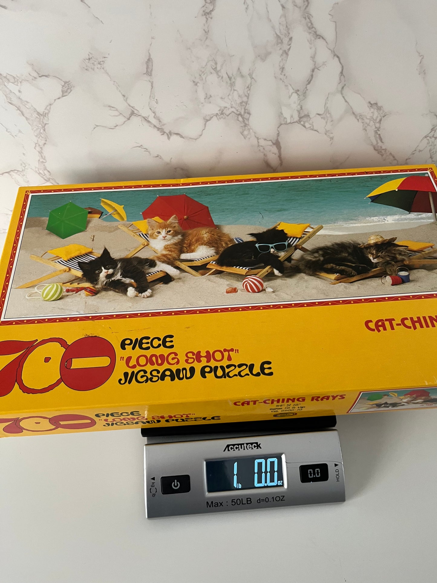 Vintage Cat Beach Scene 700 Piece Late 1990s Ceaco “Cat-Ching Rays” Long Shot Jigsaw Puzzle —
