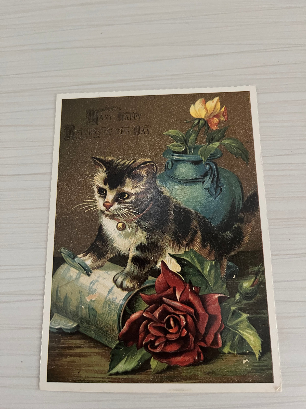 Circa 1970s Victorian/Edwardian Reproduction revival Kitten Postcard in Ornate Scroll Black Plastic Frame | “A Little Bundle of Love” Cat Art