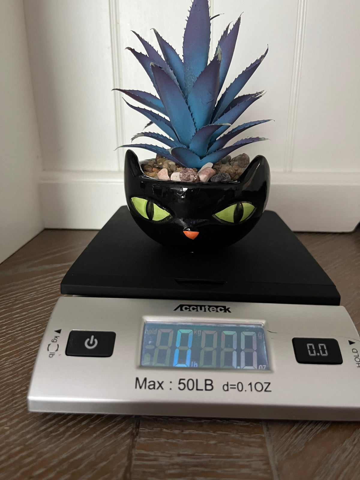 Retro Black Cat Faux Succulent Planter | Halloween Décor