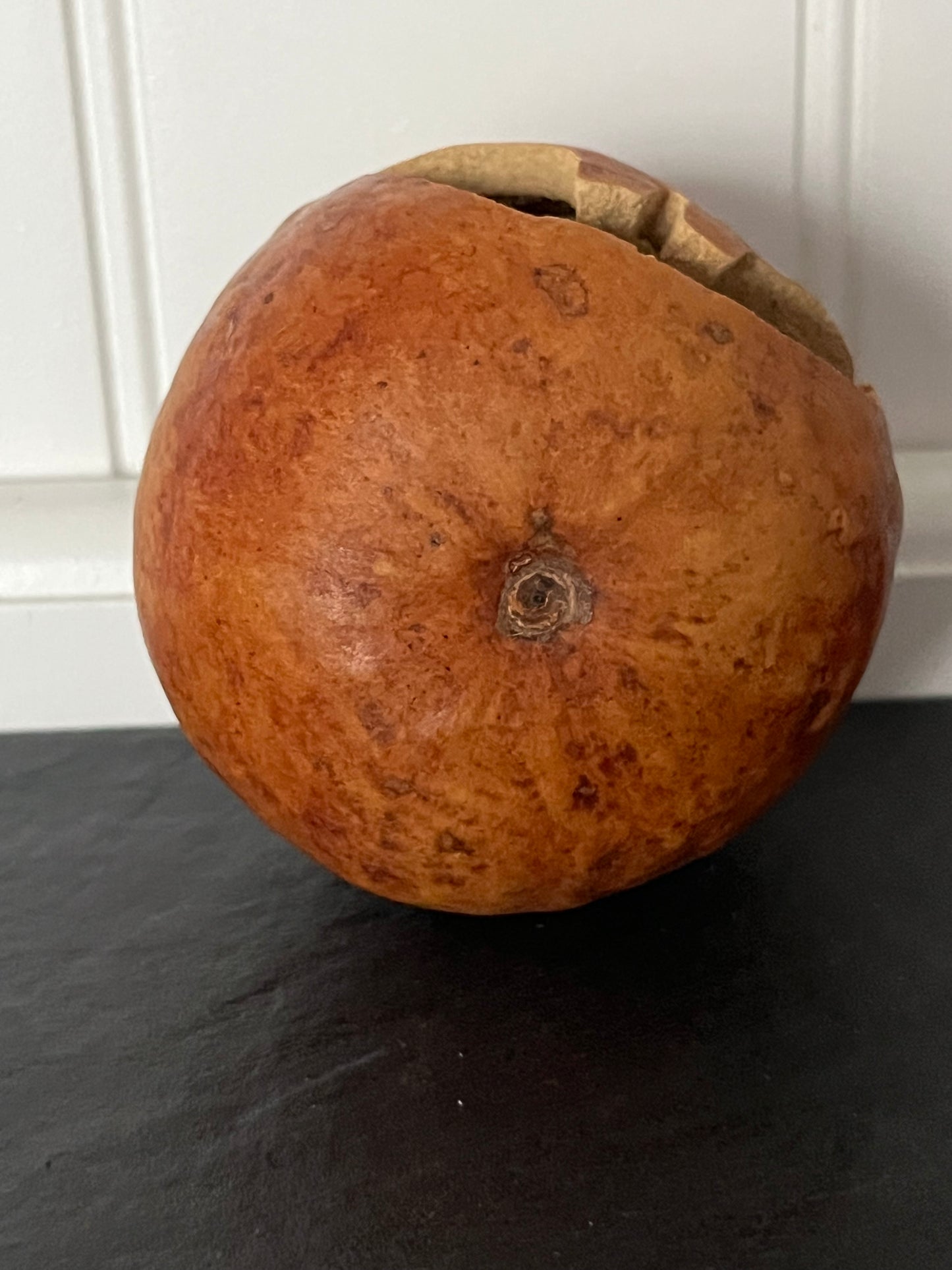 Small Hand-Carved Dried Gourd Jack-O’-Lantern | Artisan Folk Art Halloween Pumpkin | Candy Corn Manor
