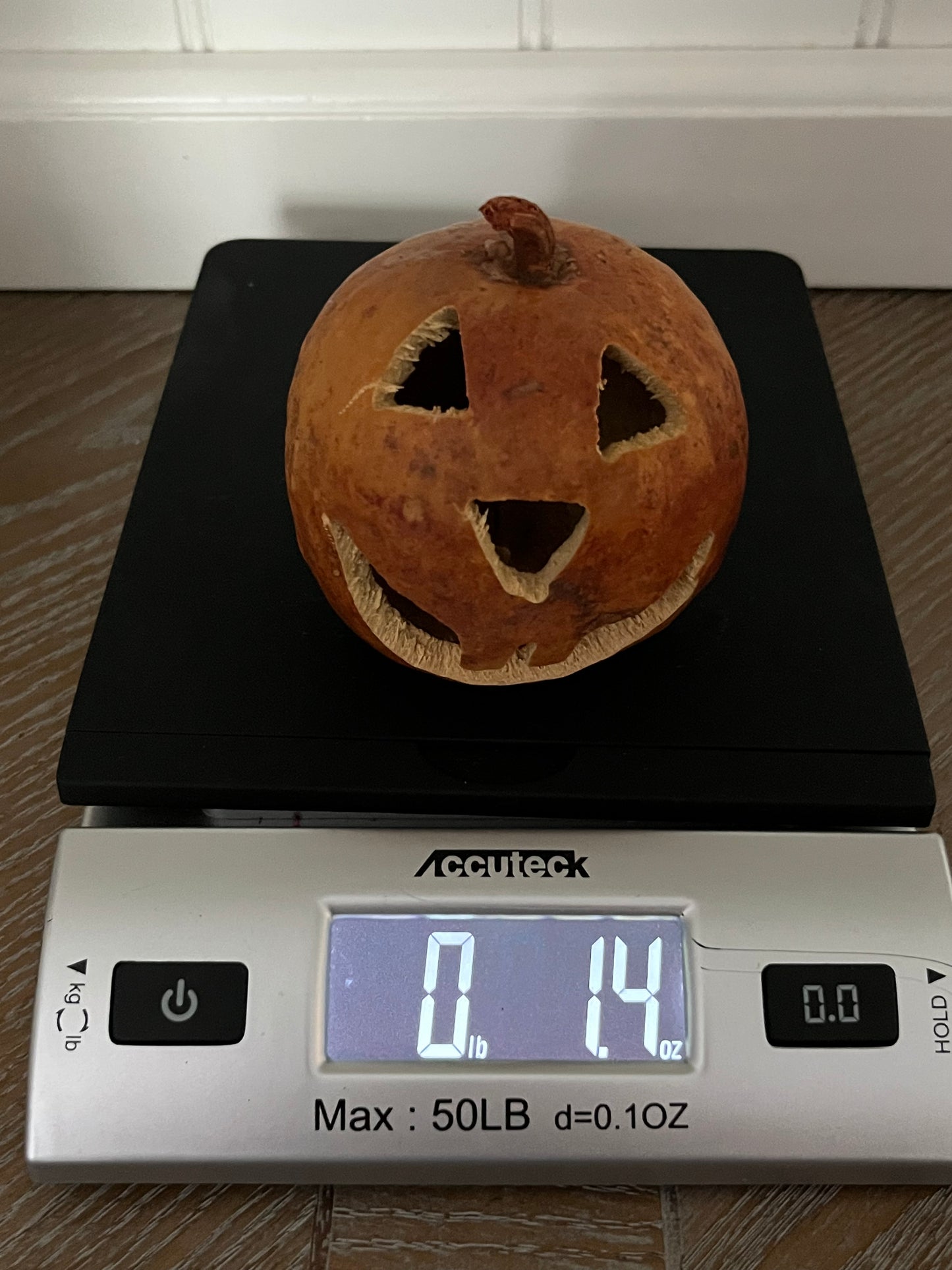 Small Hand-Carved Dried Gourd Jack-O’-Lantern | Artisan Folk Art Halloween Pumpkin | Candy Corn Manor