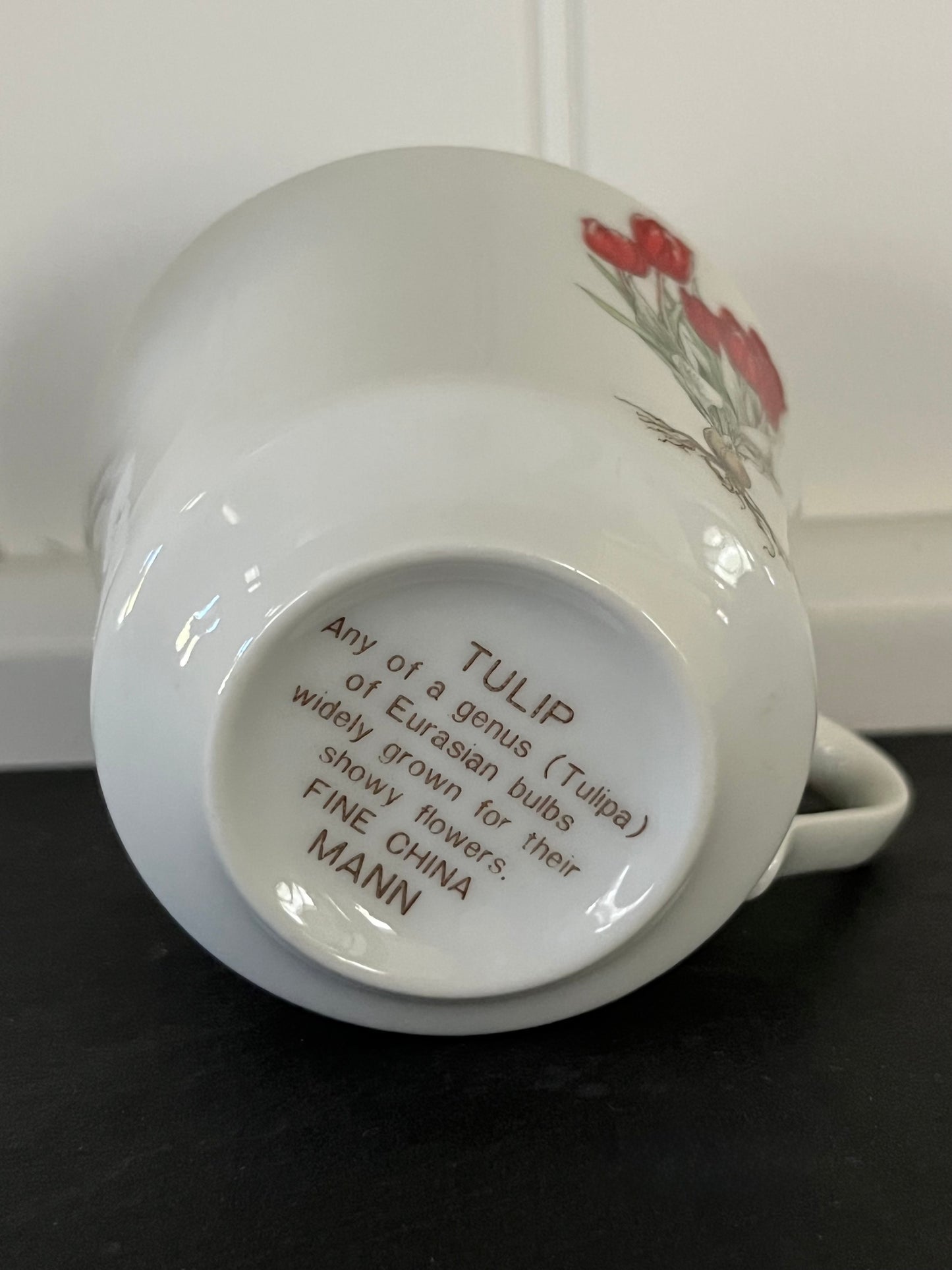 Vintage SEYMOUR MANN Orange Tulip Teacup & Saucer Set — Botanical Floral Porcelain Coffee Cups — Cottagecore Tea Party Decor — Set of 2 Cups & 2 Plates