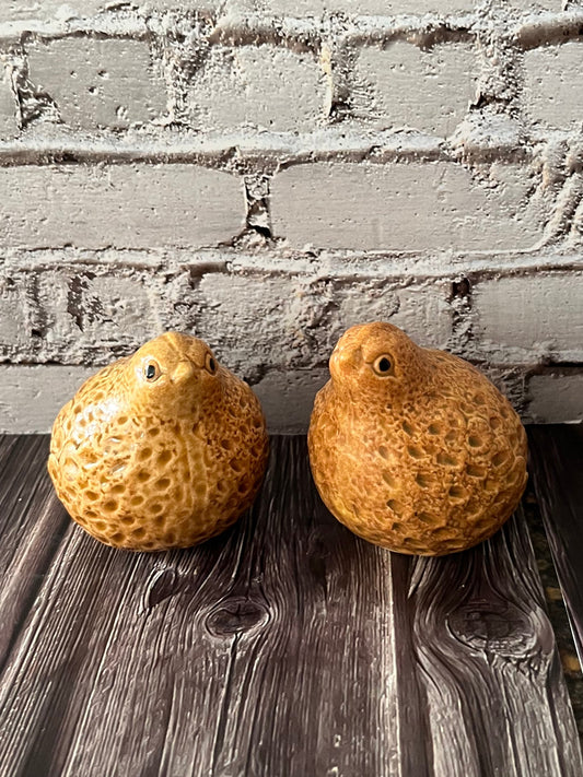 Vintage Ceramic Quail Bird Salt & Pepper Shakers – Japan, 1970s