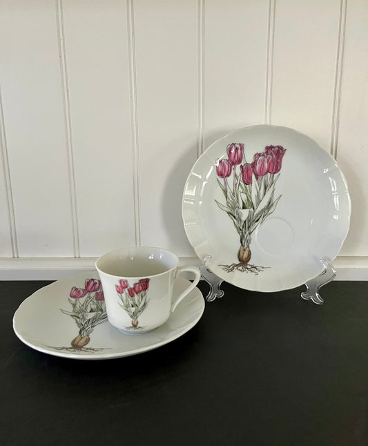 2 Vintage Pink Snack Plate & 1 Tea Cup Set Tulip by SEYMOUR MANN Botanical Modern Fine China