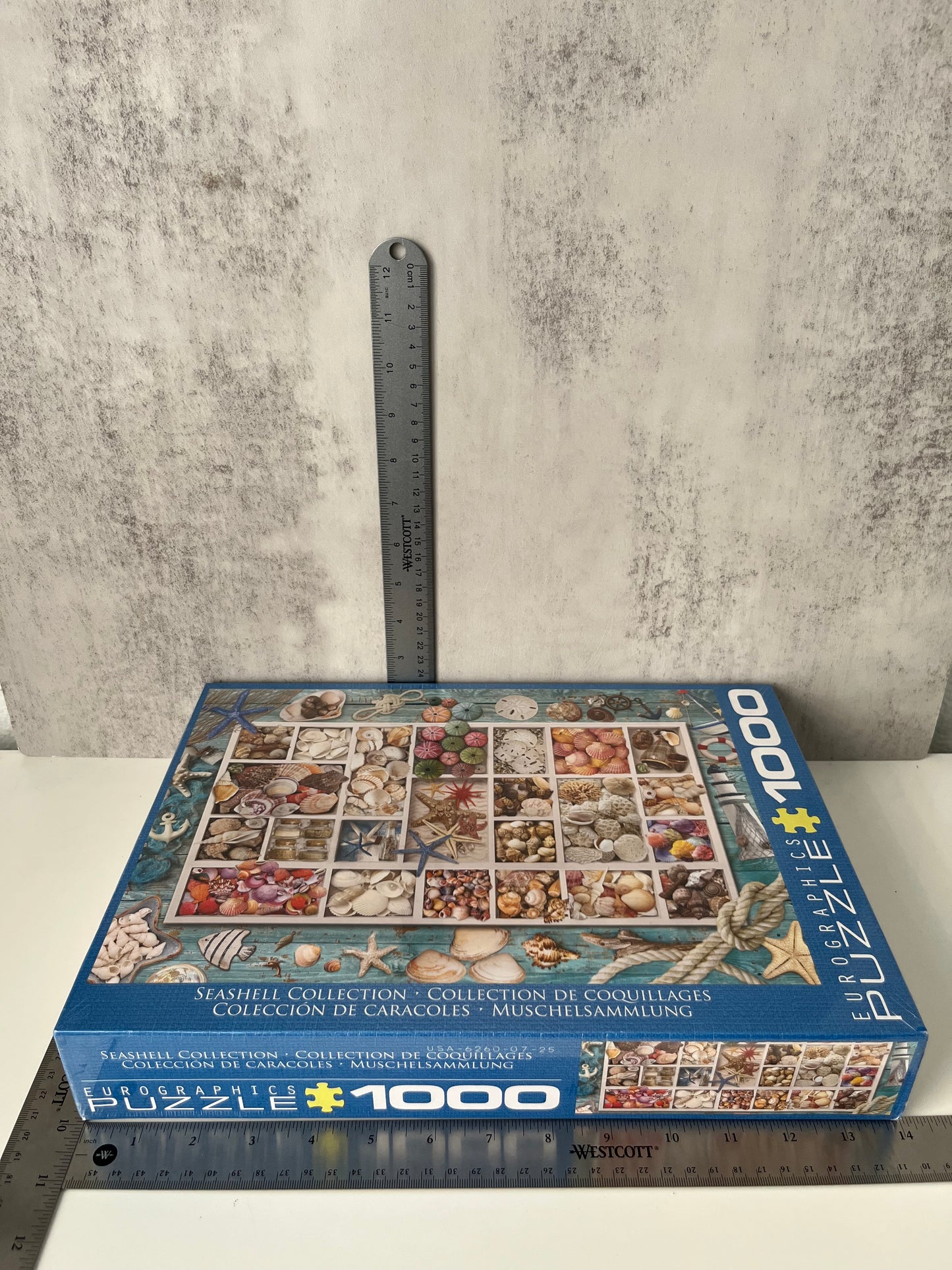 Eurographics Seashell Collection 1000 Piece Puzzle – SEALED – Coastal Nautical Decor Puzzle – 2010s Contemporary Coastal