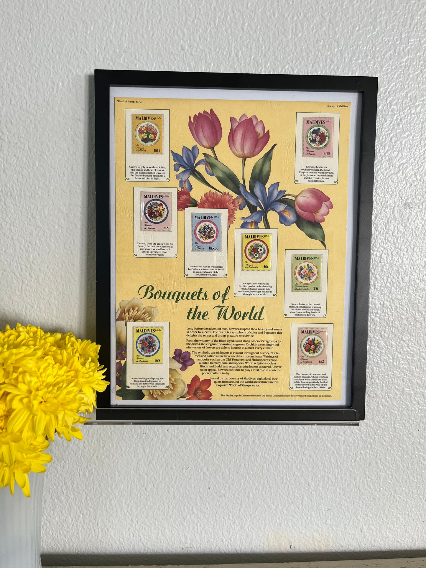 World Of Stamps: Bouquets Of The World Series Collection 
- 8 Stamps Maldives Roses in Black Frame