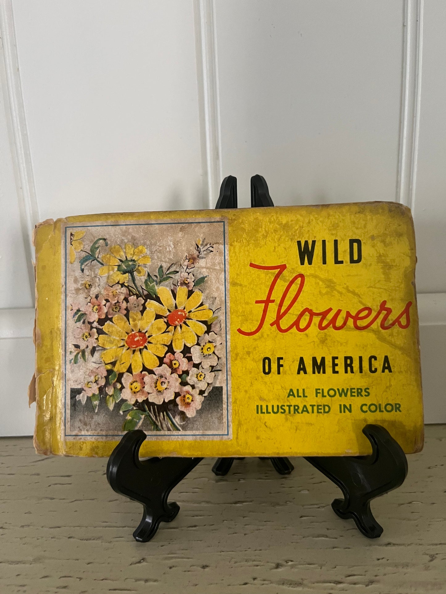 Wild Flowers of America Mini Guidebook – 1930s Illustrated Edition