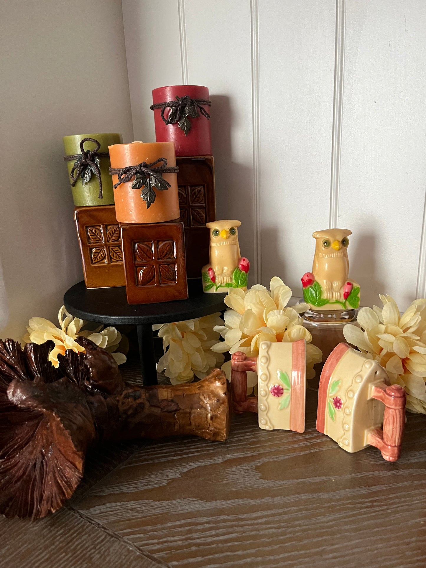 Vintage 1950s HK Owl Salt & Pepper Shakers – Cream Celluloid Owls w/ Red Tulip Flowers – Mid-Century Kitchencore