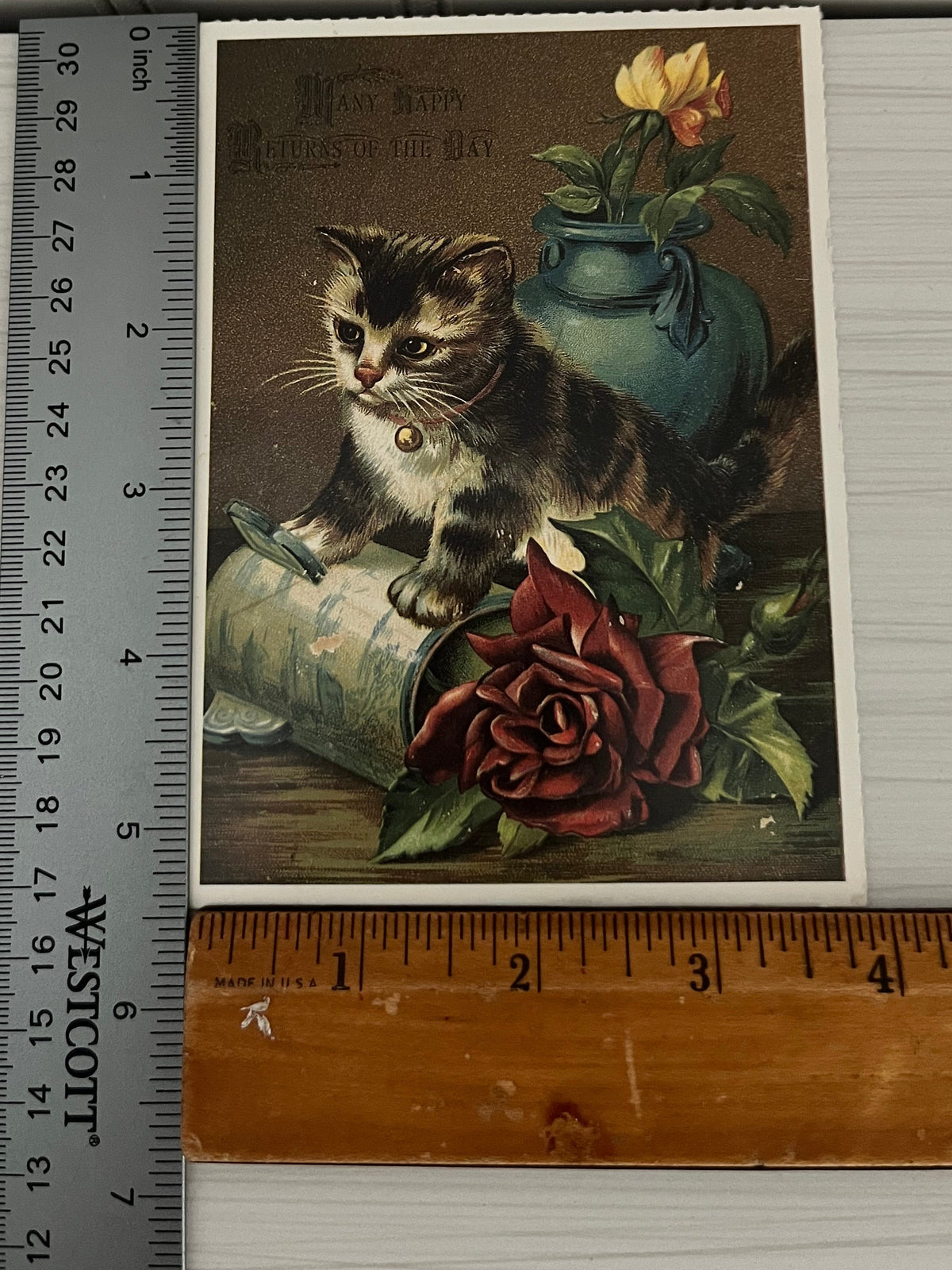 Circa 1970s Victorian/Edwardian Reproduction revival Kitten Postcard in Ornate Scroll Black Plastic Frame | “A Little Bundle of Love” Cat Art