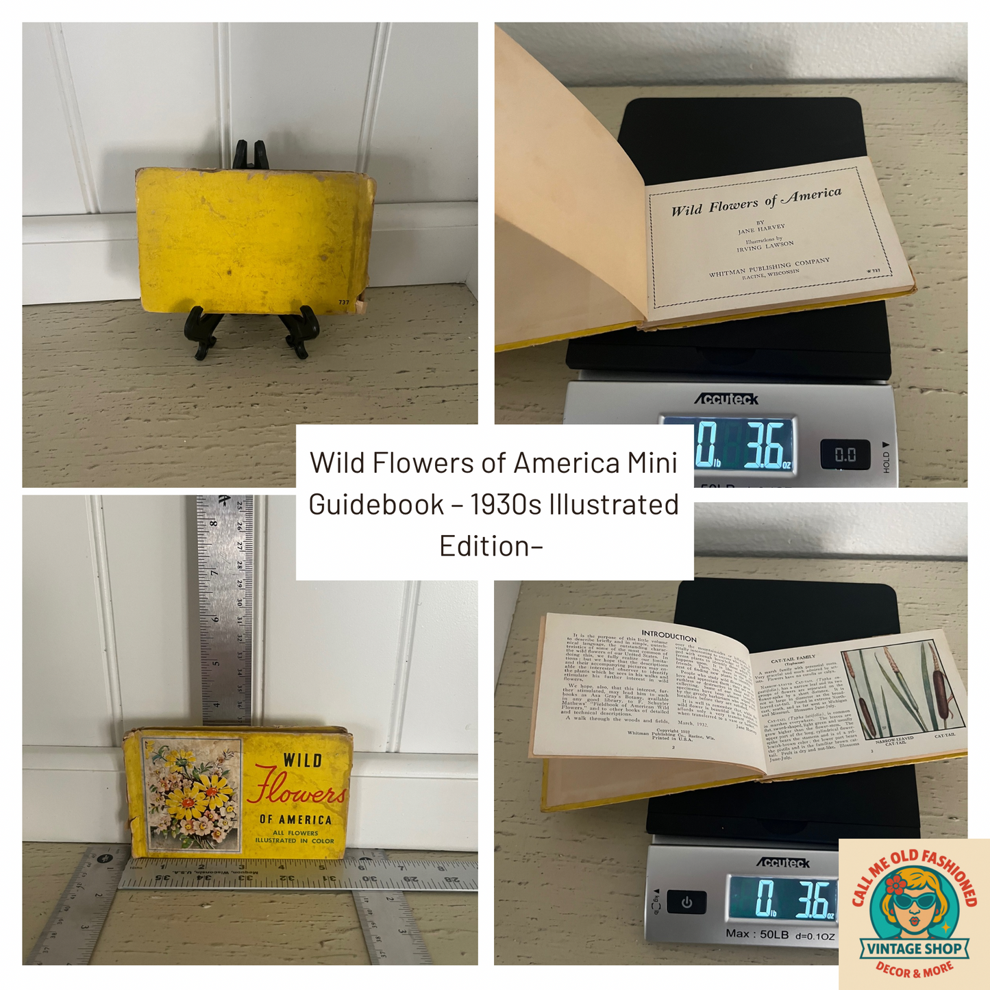 Wild Flowers of America Mini Guidebook – 1930s Illustrated Edition