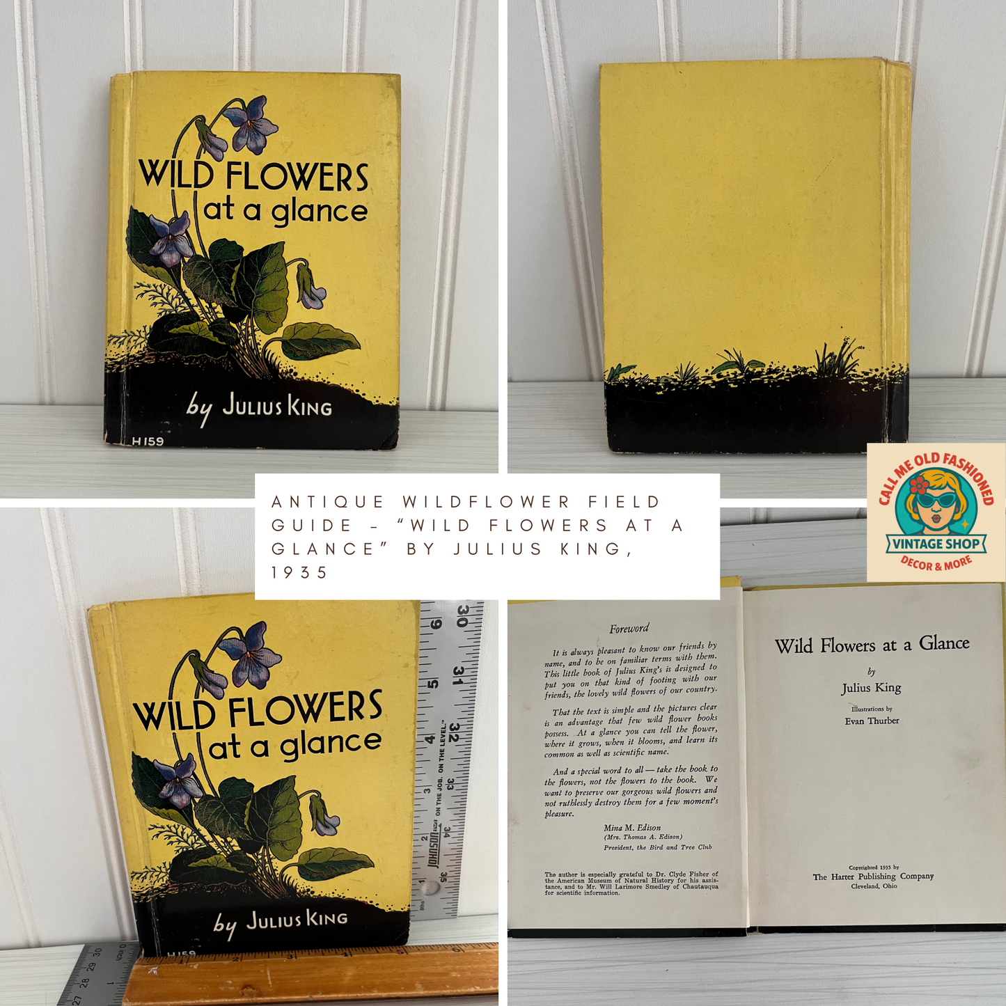 Antique Wildflower Field Guide – “Wild Flowers at a Glance” by Julius King, 1935