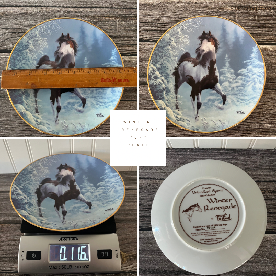 Vintage 1992 Hamilton Unbridled Spirit Winter Renegade Horse Porcelain Plate